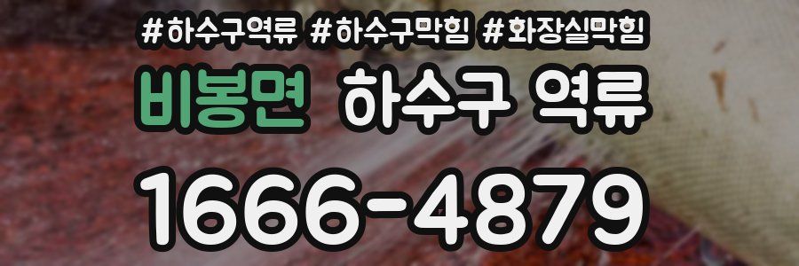 비봉면 하수구 역류