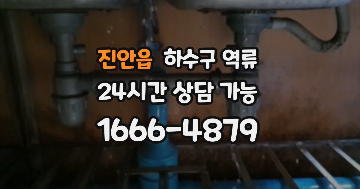 진안읍 하수구 역류