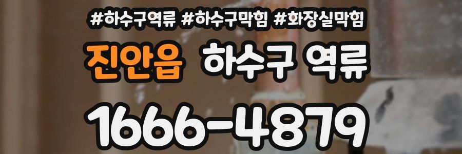 진안읍 하수구 역류