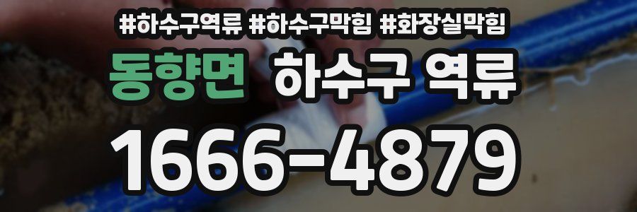 동향면 하수구 역류