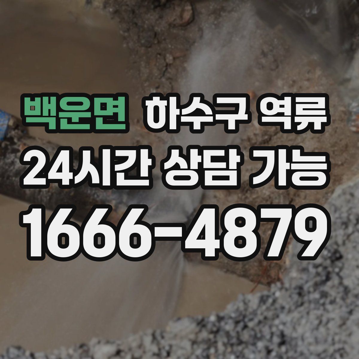 백운면 하수구 역류