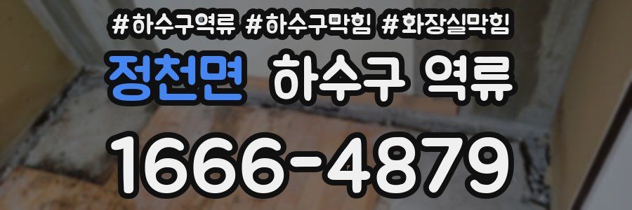 정천면 하수구 역류