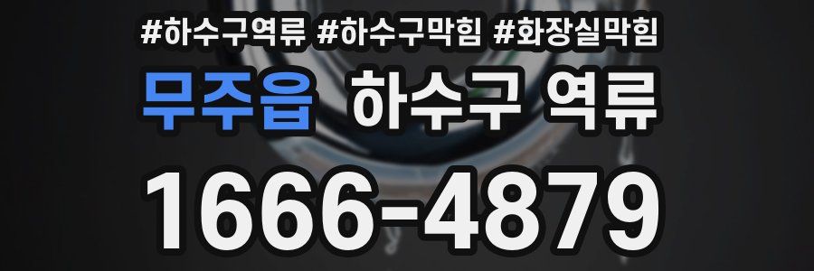 무주읍 하수구 역류