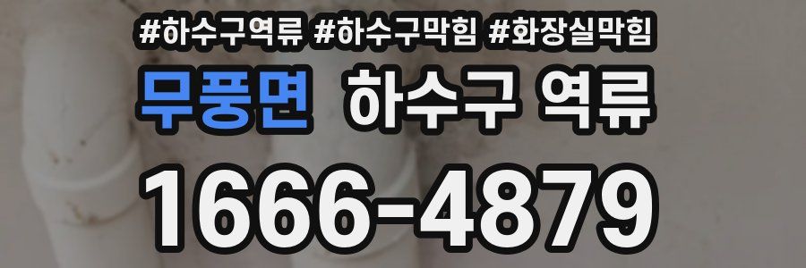 무풍면 하수구 역류