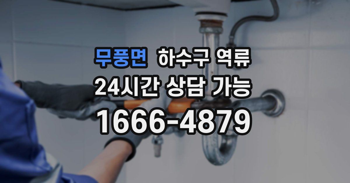 무풍면 하수구 역류