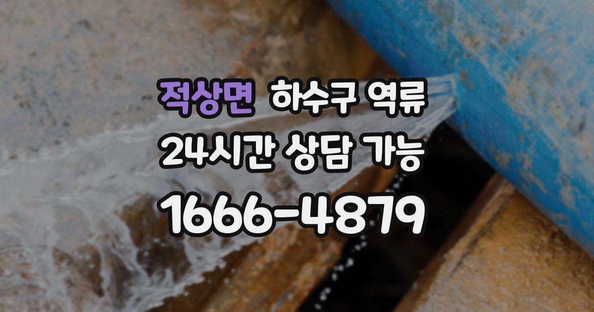 적상면 하수구 역류