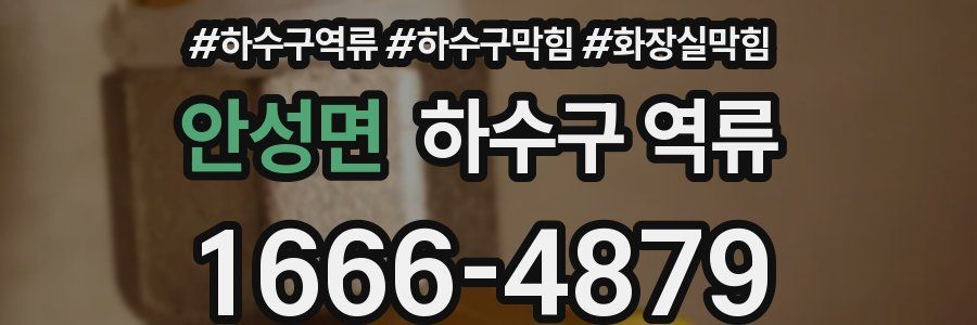 안성면 하수구 역류