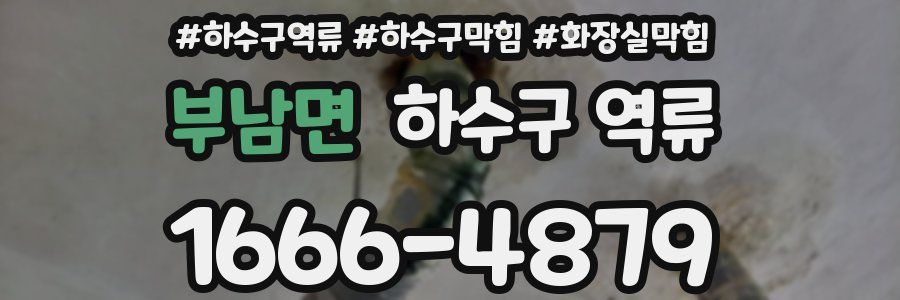 부남면 하수구 역류