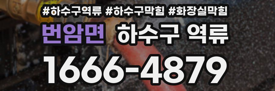 번암면 하수구 역류