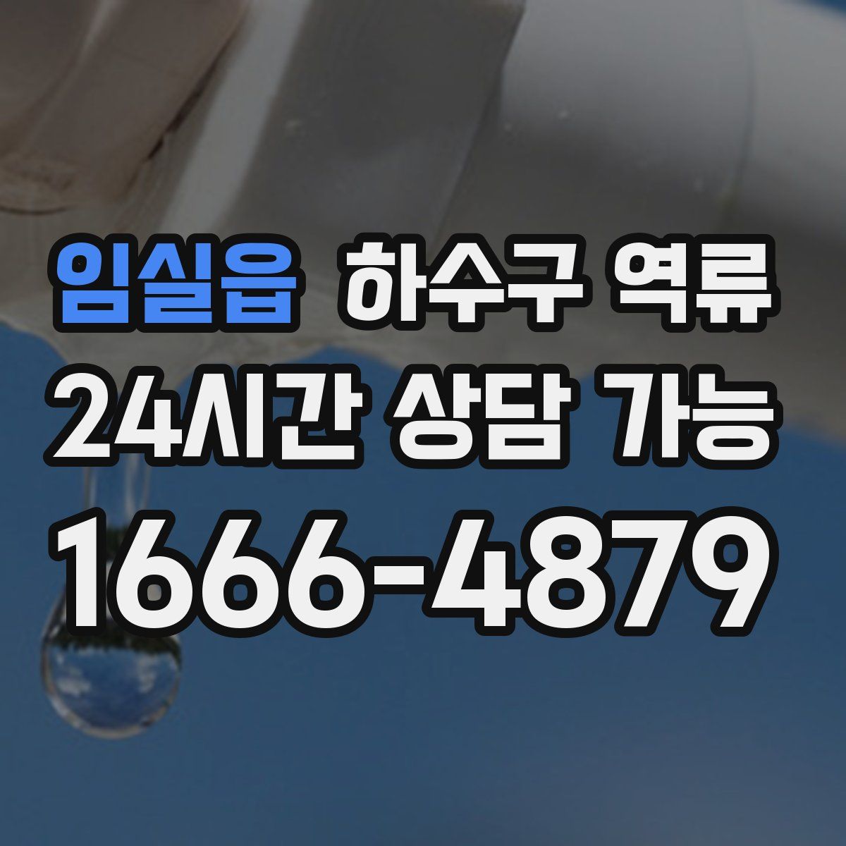 임실읍 하수구 역류