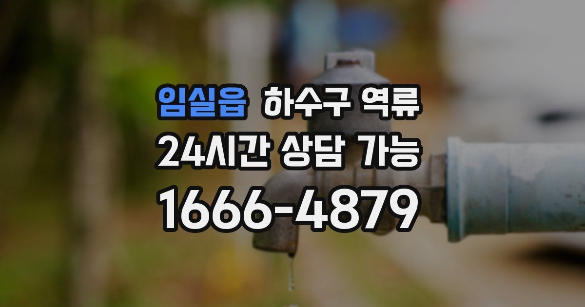 임실읍 하수구 역류