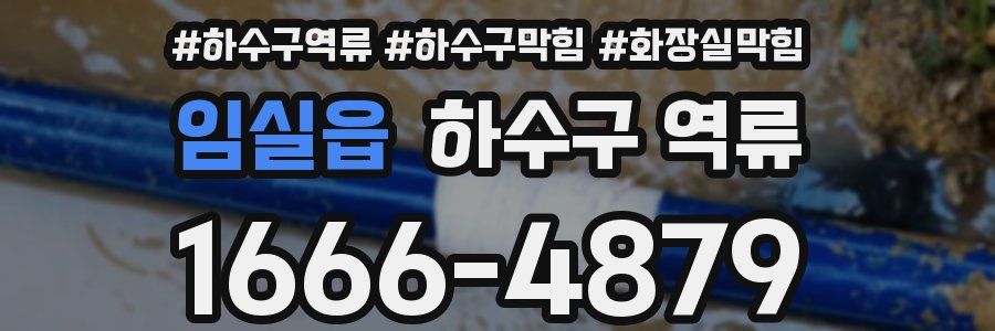 임실읍 하수구 역류