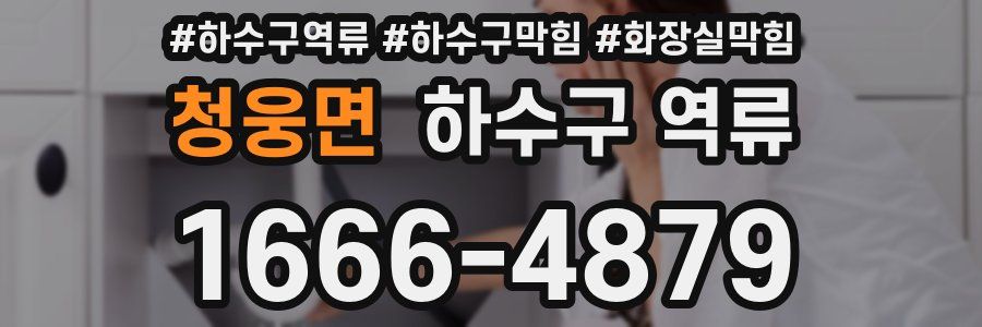 청웅면 하수구 역류