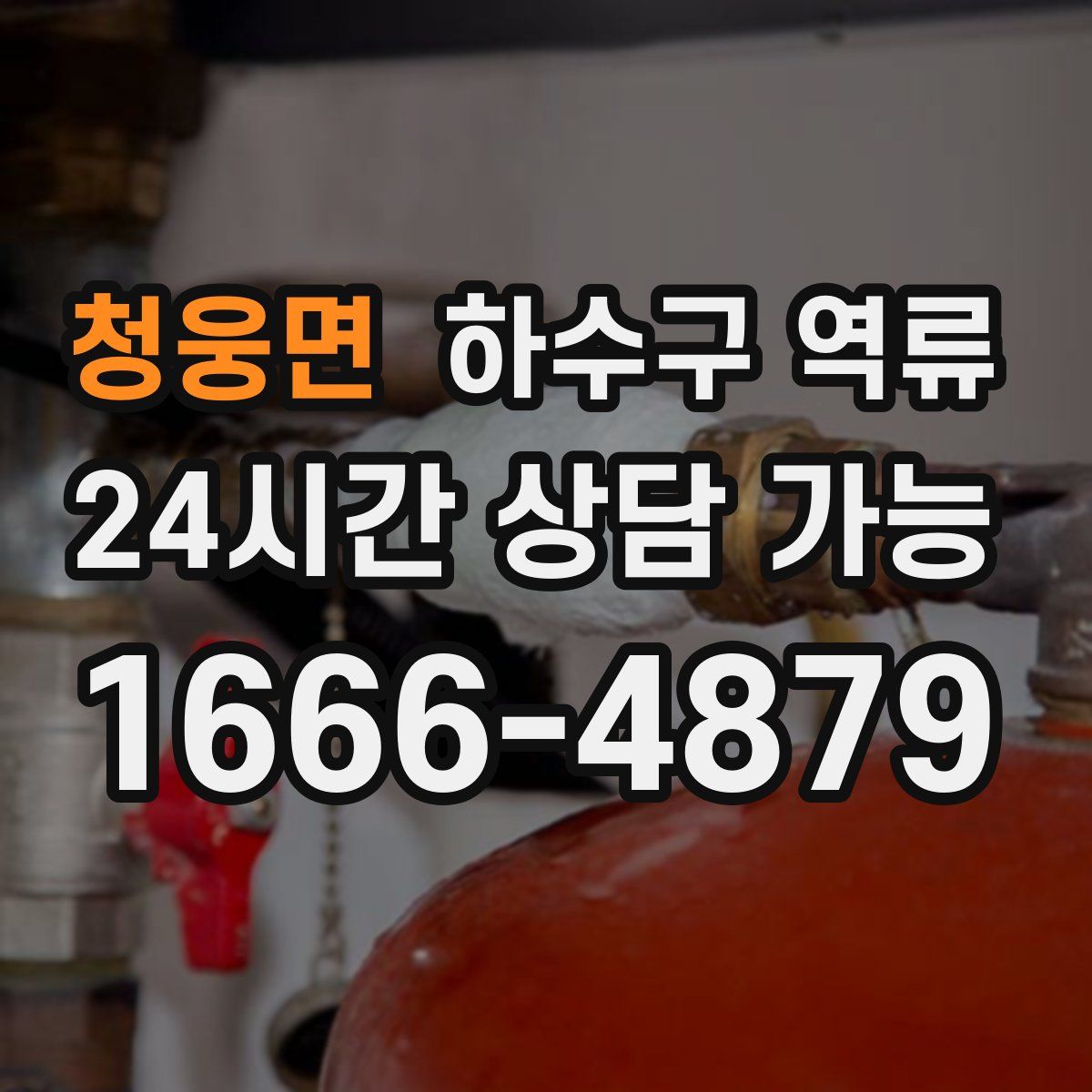 청웅면 하수구 역류