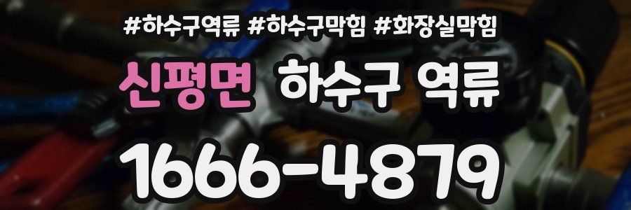 신평면 하수구 역류