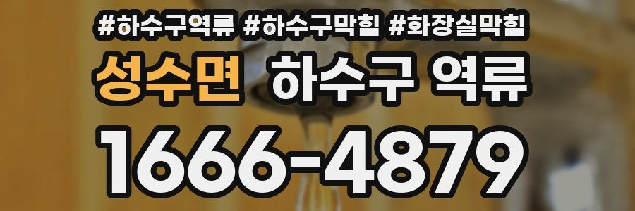 성수면 하수구 역류