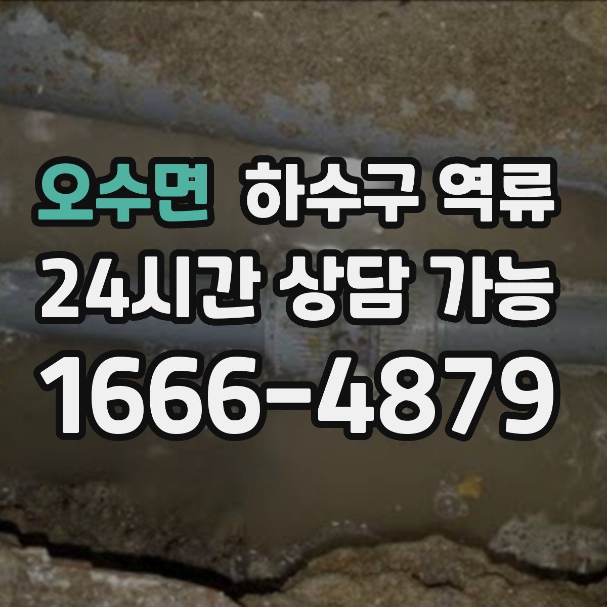 오수면 하수구 역류