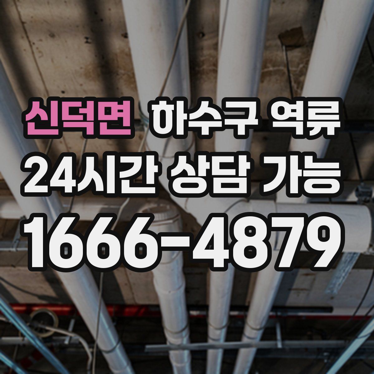 신덕면 하수구 역류