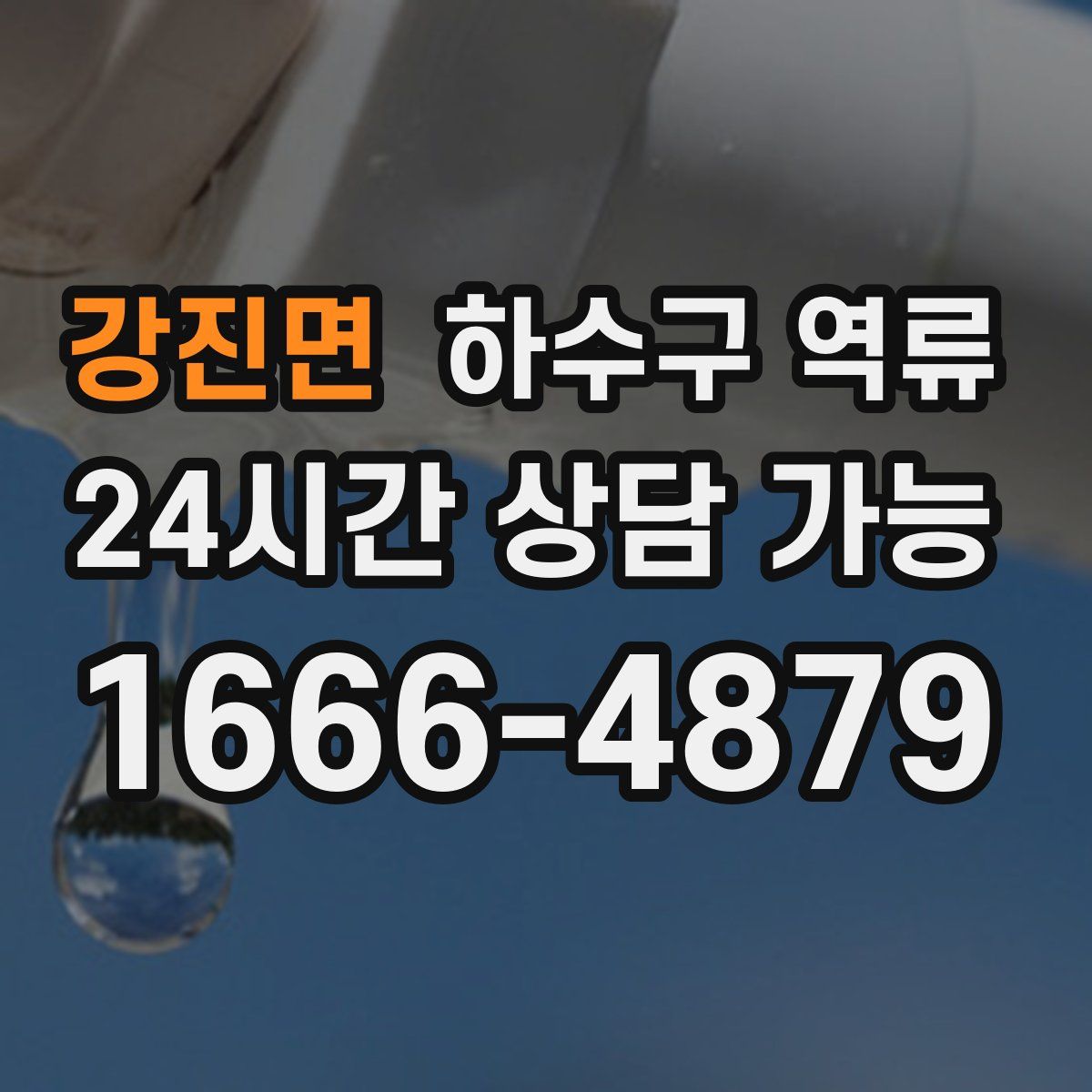 강진면 하수구 역류