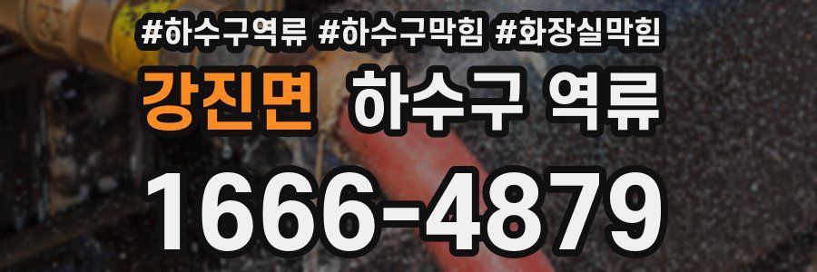 강진면 하수구 역류