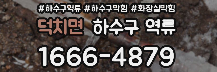 덕치면 하수구 역류