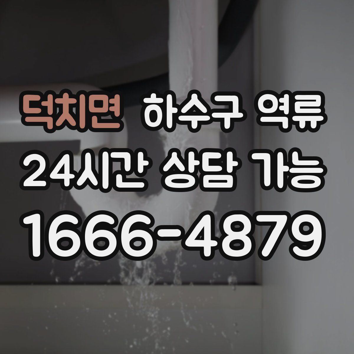 덕치면 하수구 역류