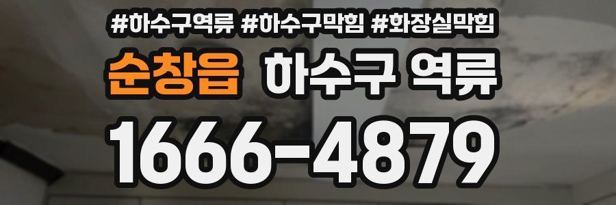 순창읍 하수구 역류