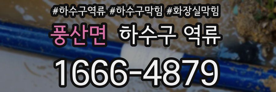 풍산면 하수구 역류