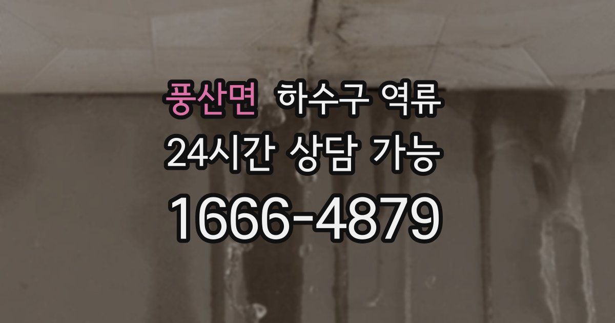 풍산면 하수구 역류