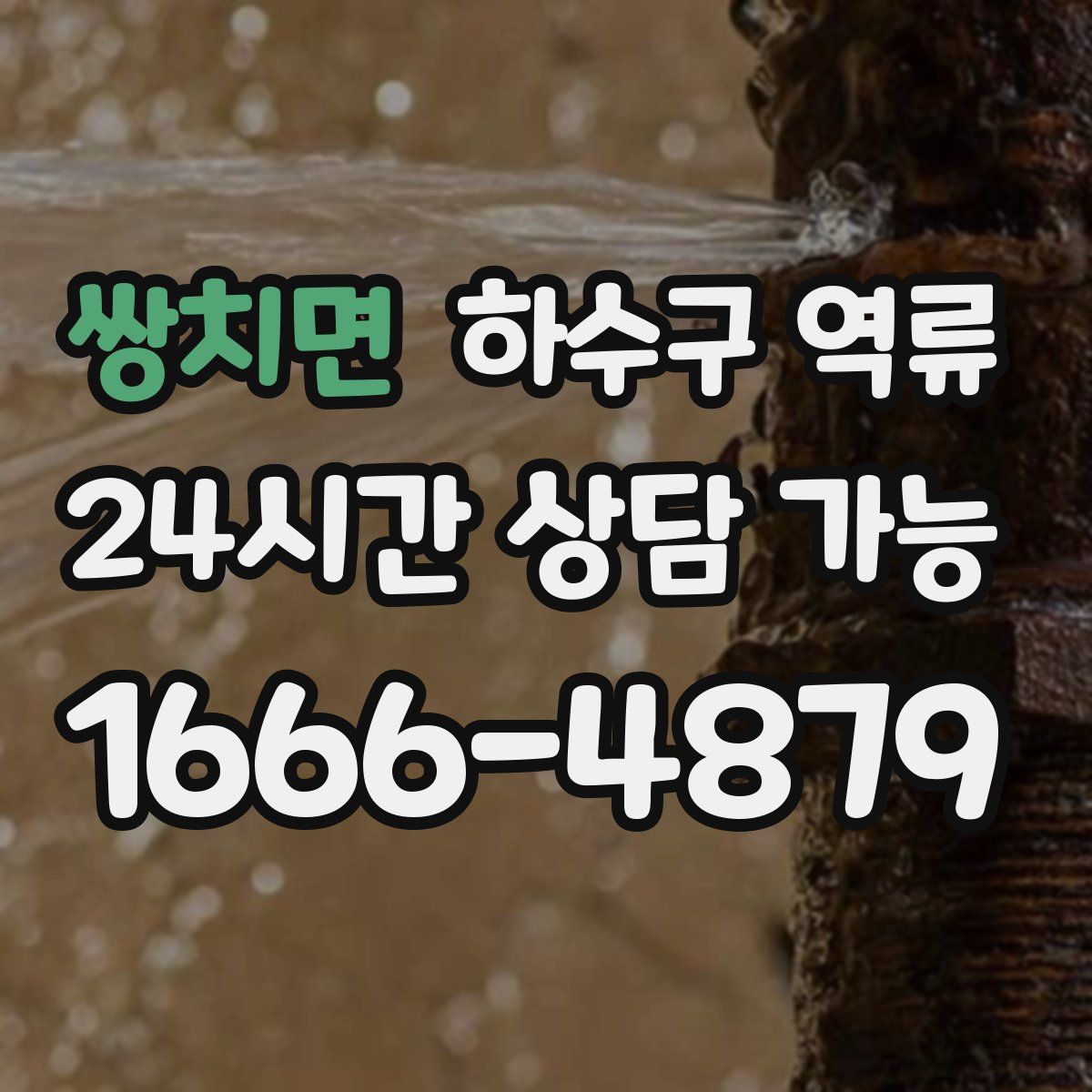 쌍치면 하수구 역류