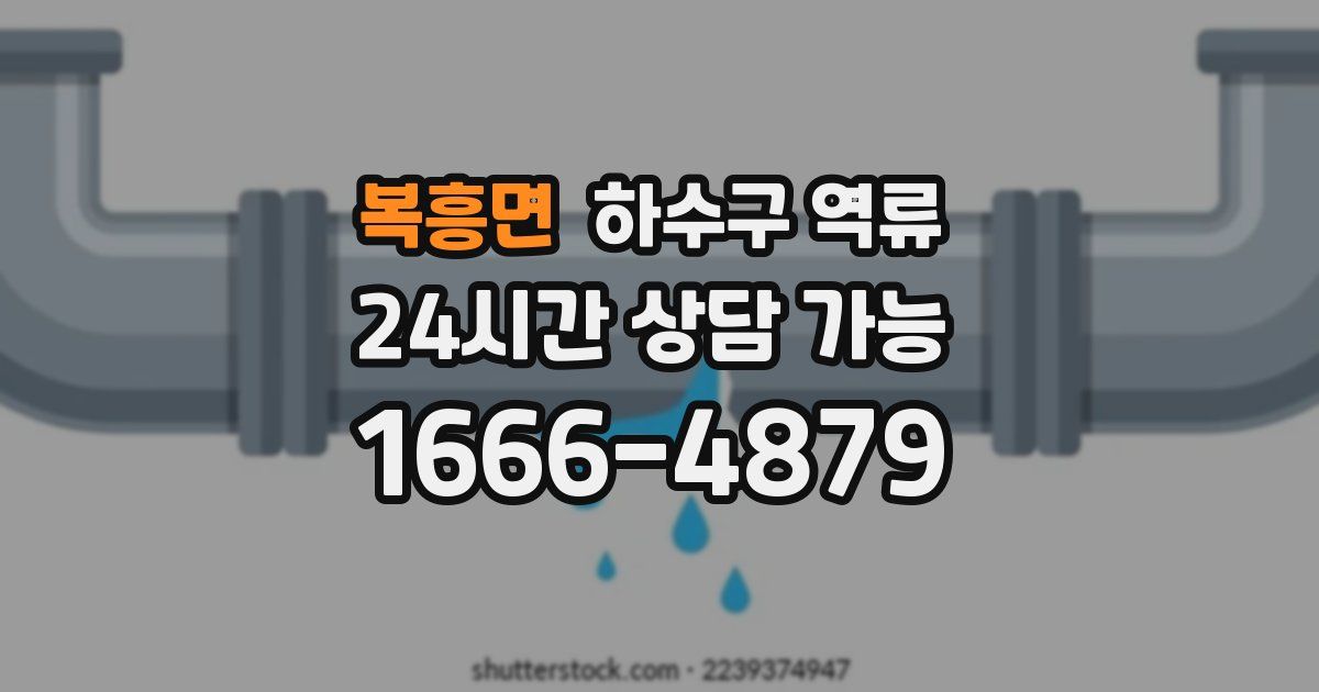 복흥면 하수구 역류