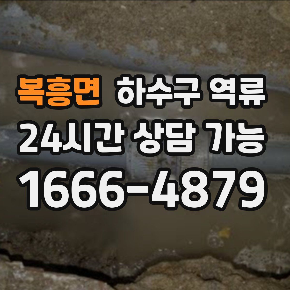 복흥면 하수구 역류