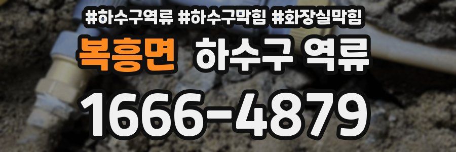복흥면 하수구 역류