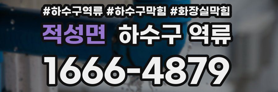 적성면 하수구 역류