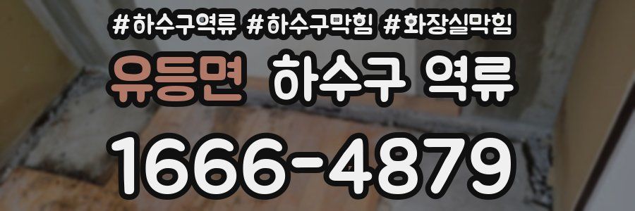 유등면 하수구 역류