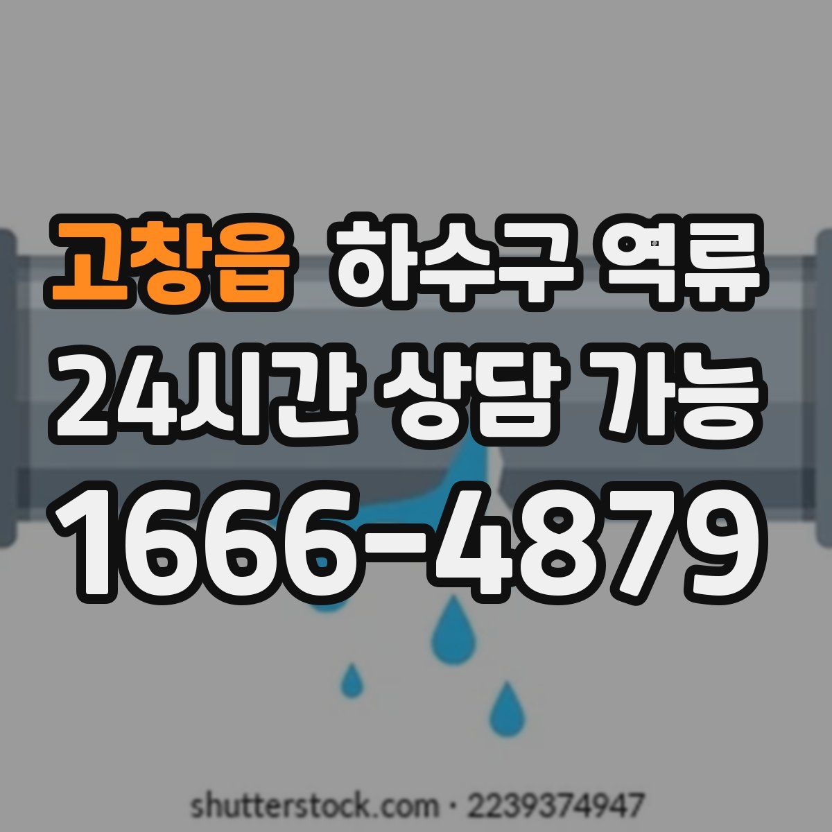 고창읍 하수구 역류