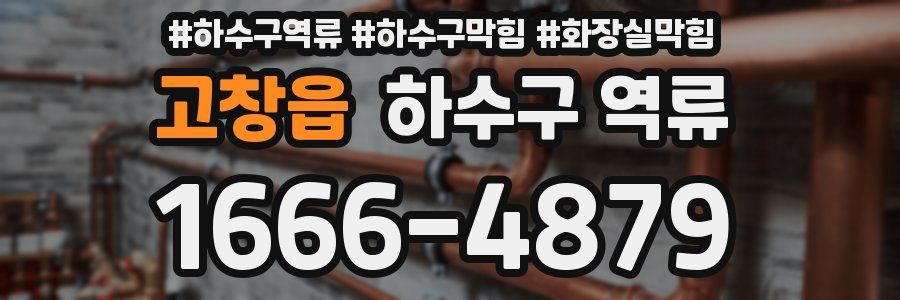 고창읍 하수구 역류