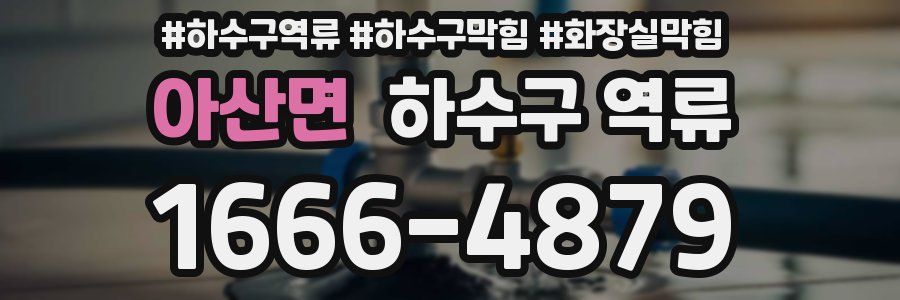 아산면 하수구 역류