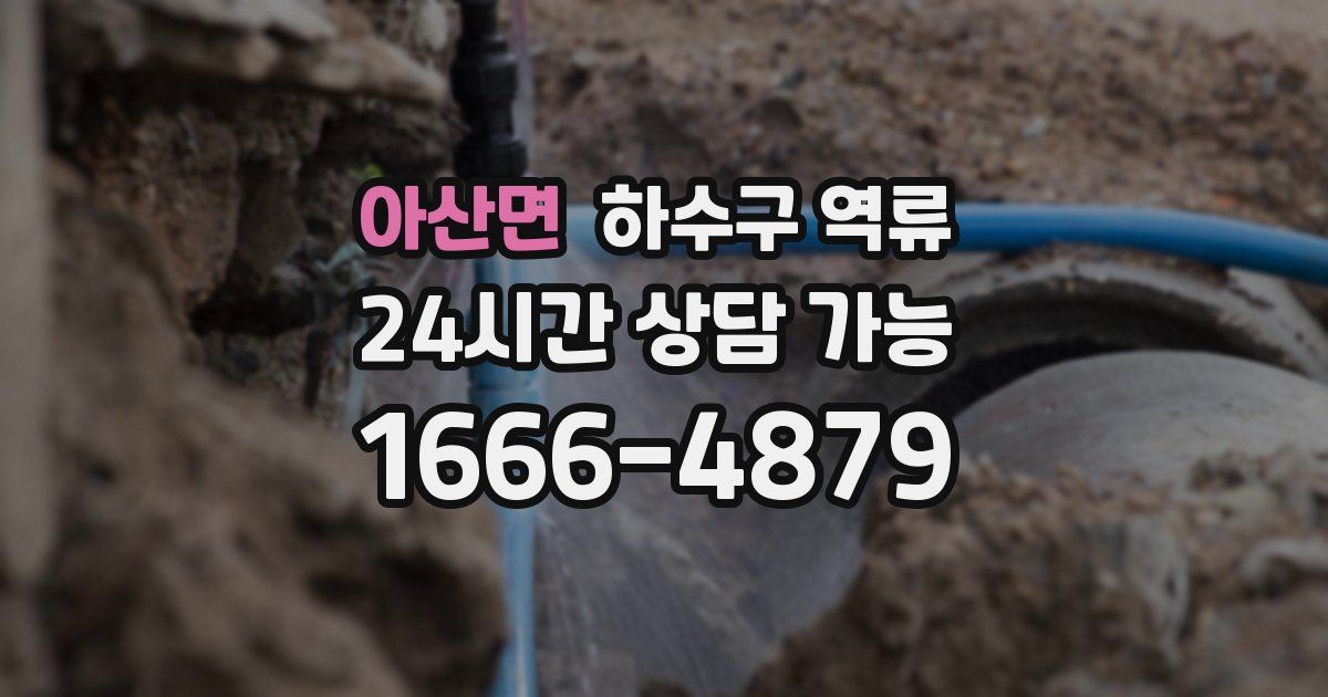 아산면 하수구 역류