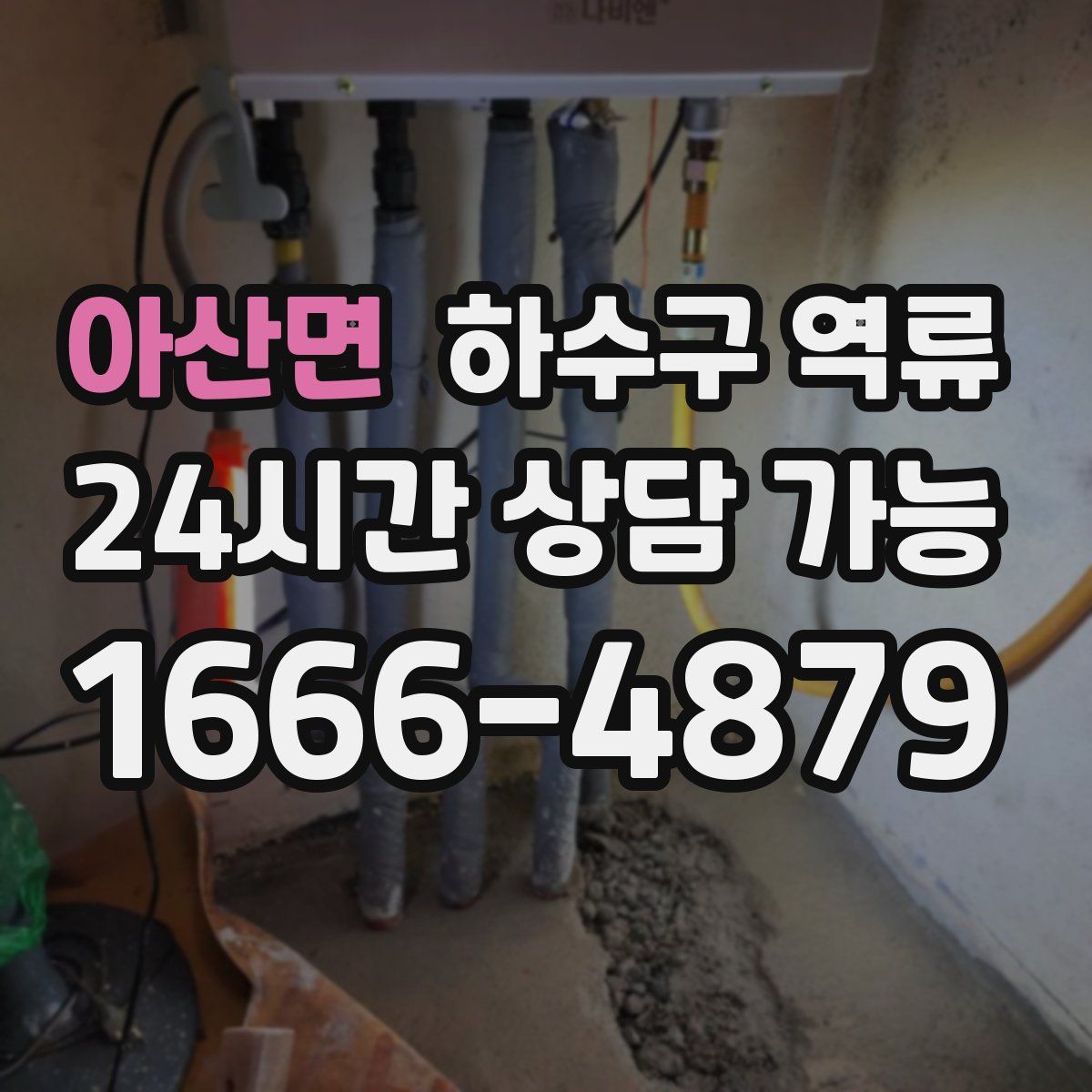 아산면 하수구 역류