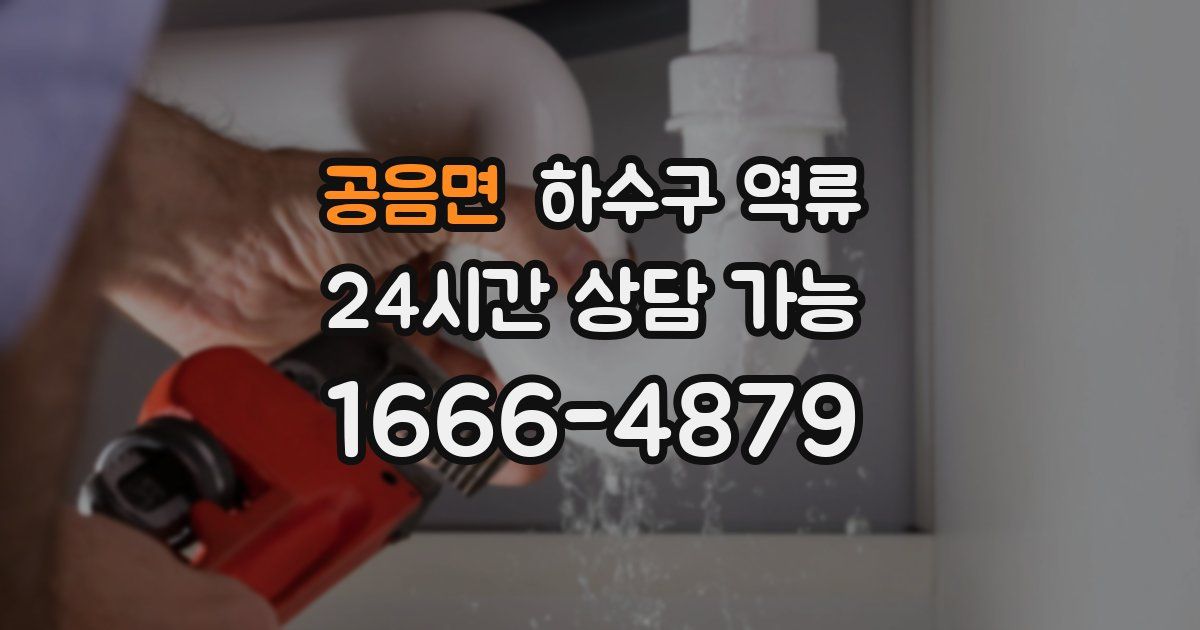 공음면 하수구 역류