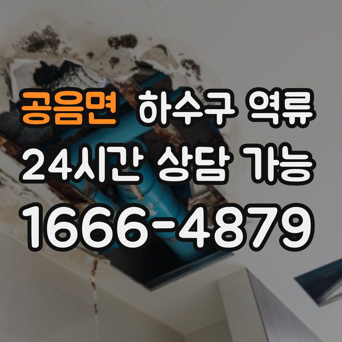 공음면 하수구 역류