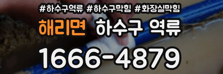 해리면 하수구 역류
