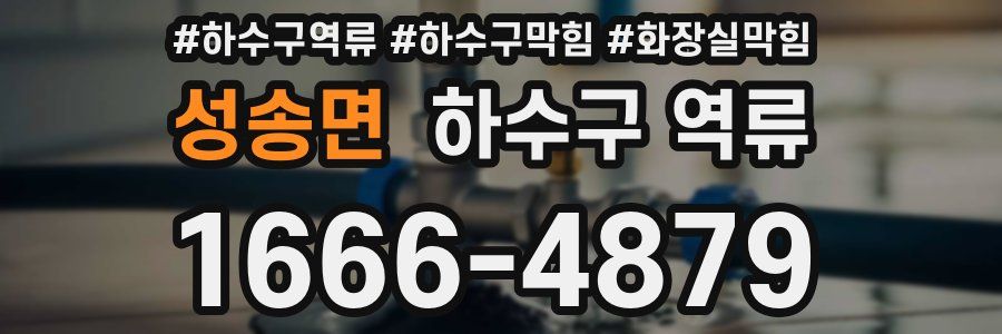 성송면 하수구 역류