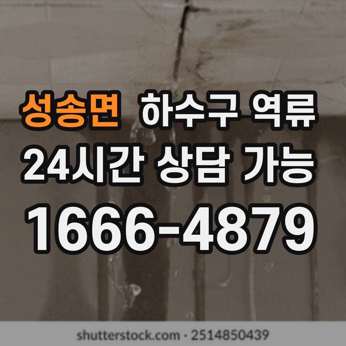 성송면 하수구 역류