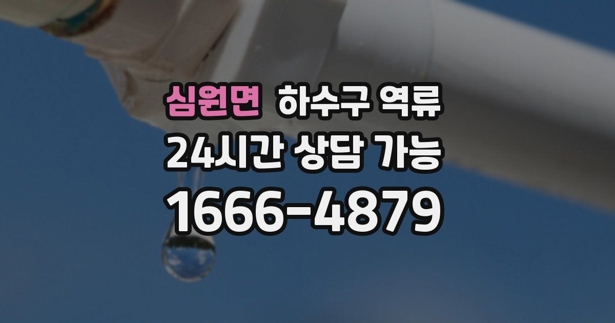 심원면 하수구 역류