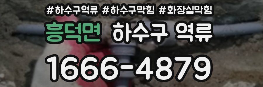흥덕면 하수구 역류