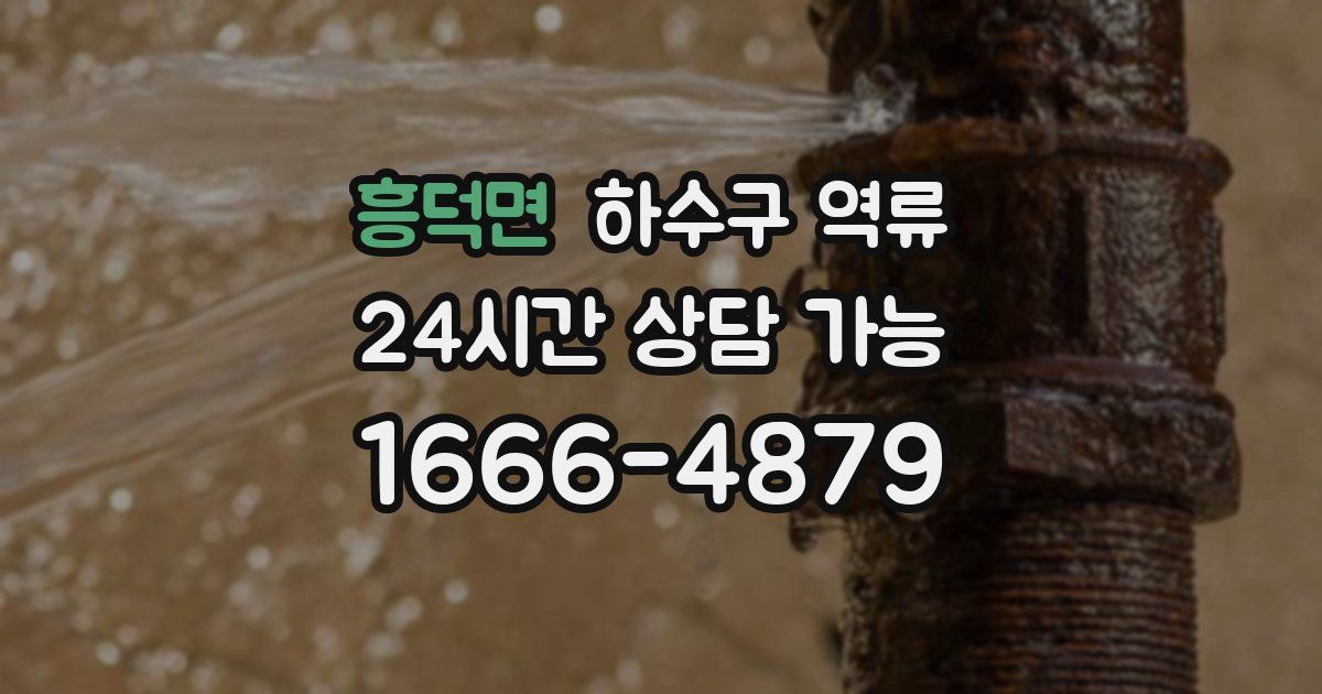 흥덕면 하수구 역류