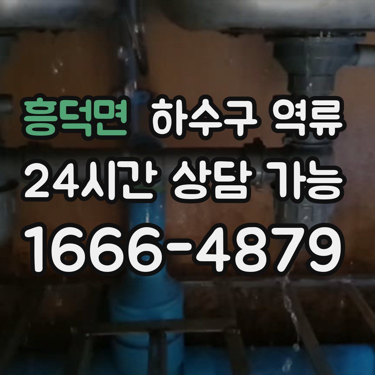 흥덕면 하수구 역류