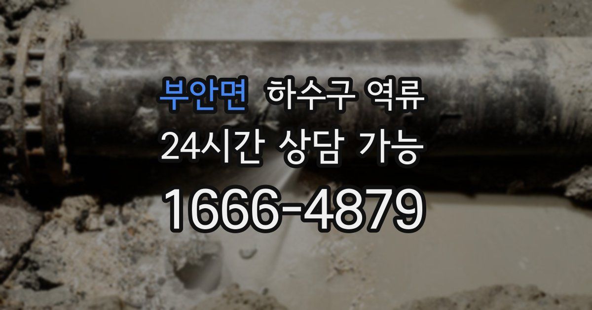 부안면 하수구 역류